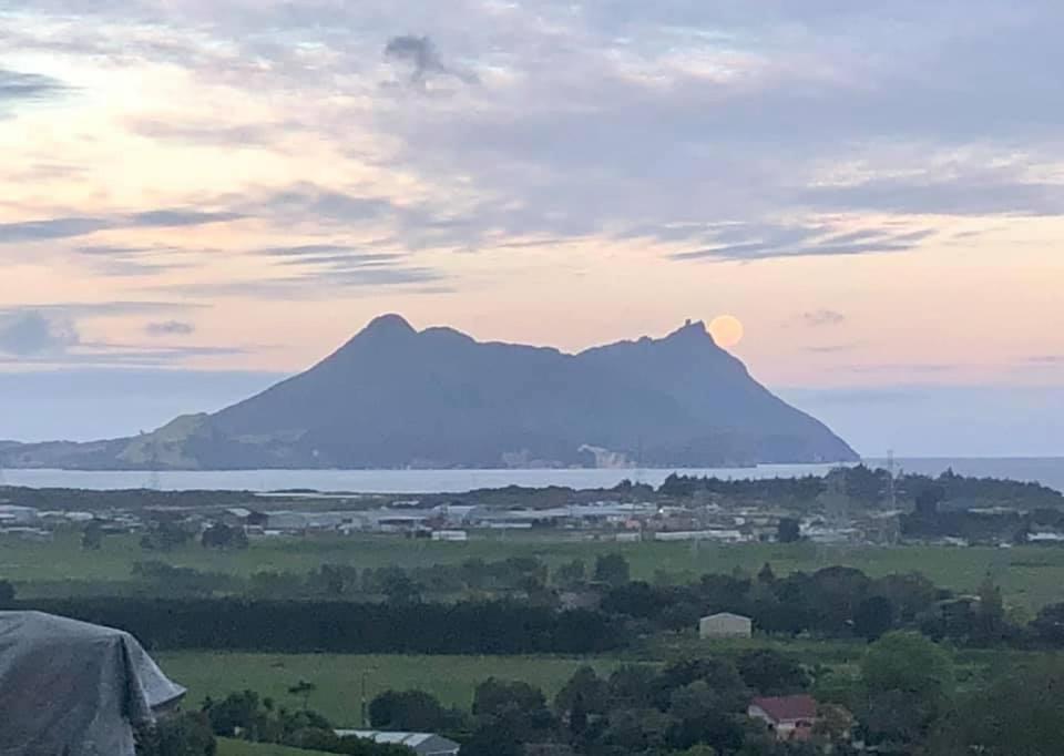 Moko Hiwi Escape - Kotare Suite Ruakaka Buitenkant foto