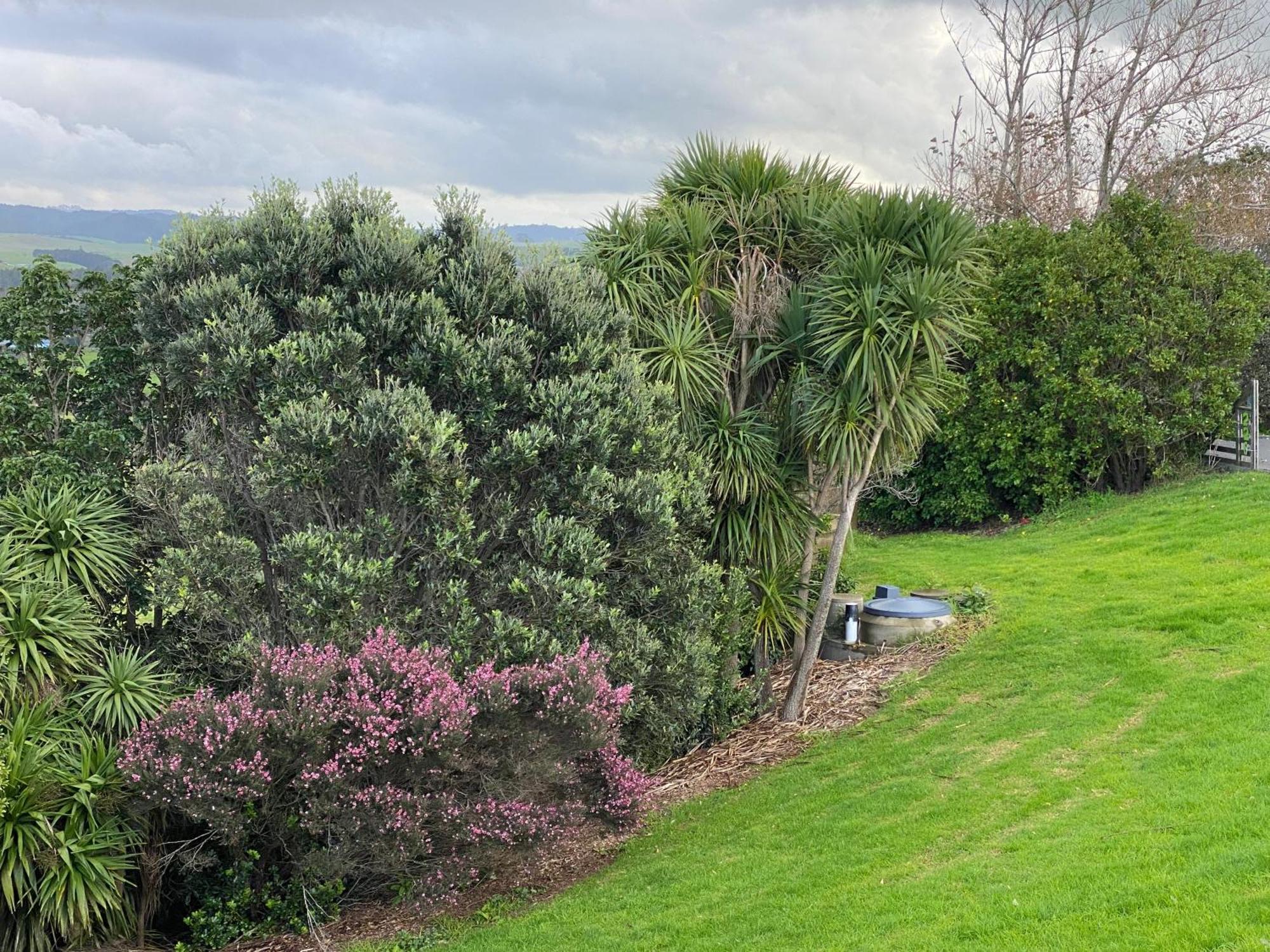 Moko Hiwi Escape - Kotare Suite Ruakaka Buitenkant foto
